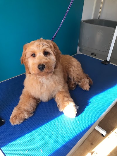 Grooming Van Image