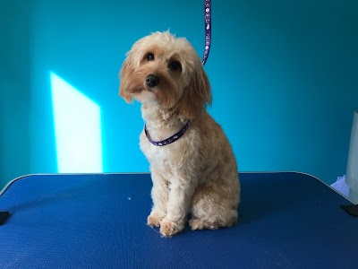Grooming Van Image