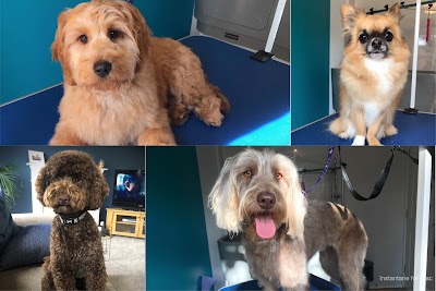 Masters Grooming