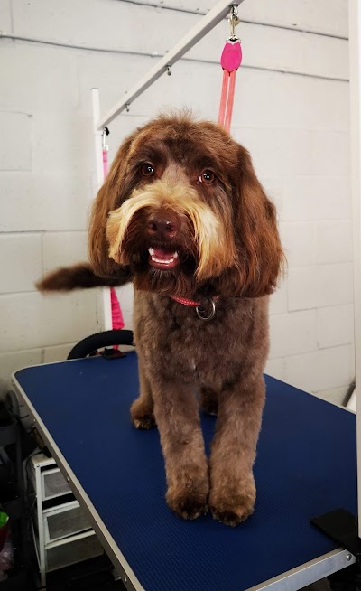 Grooming Van Image