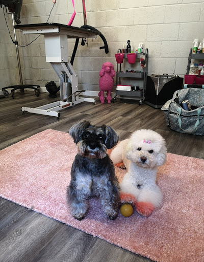 Grooming Van Image