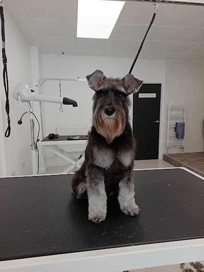 Grooming Van Image