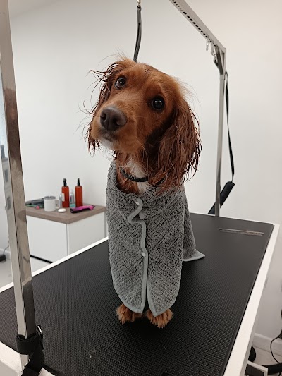 Grooming Van Image