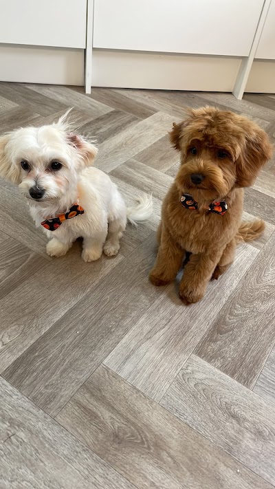 Grooming Van Image