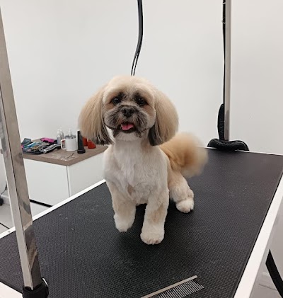 Grooming Van Image