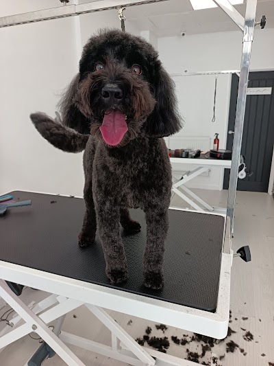 Grooming Van Image