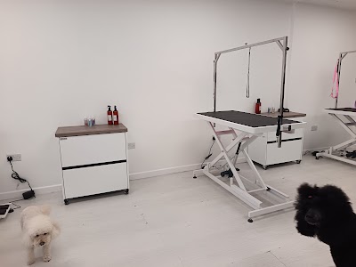 Grooming Van Image