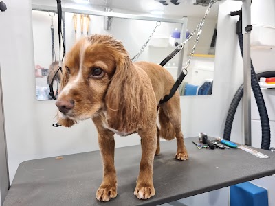 Grooming Van Image