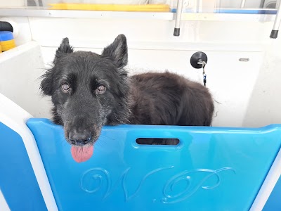 Grooming Van Image