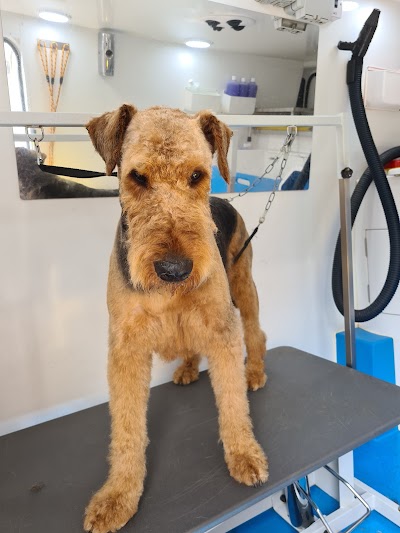 Grooming Van Image