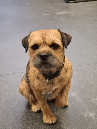 Grooming Van Image