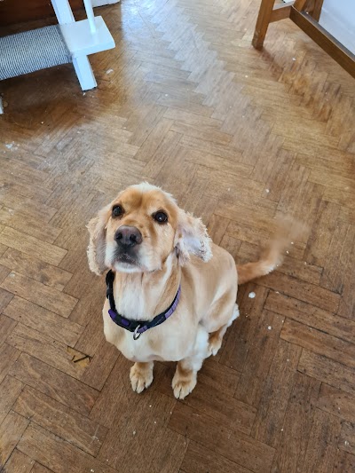 Grooming Van Image