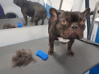 Grooming Van Image