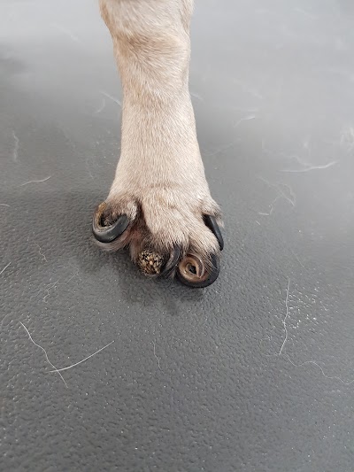 Grooming Van Image