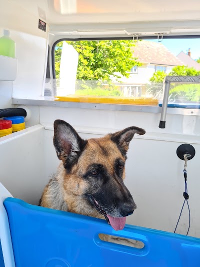 Grooming Van Image