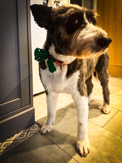 Grooming Van Image