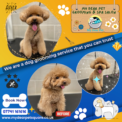 Grooming Van Image