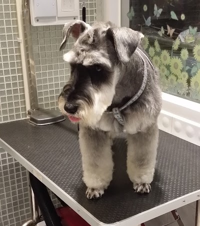 Grooming Van Image