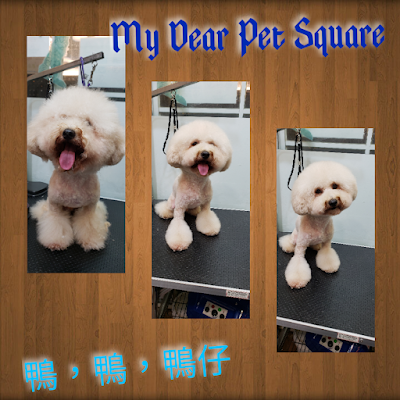 Grooming Van Image