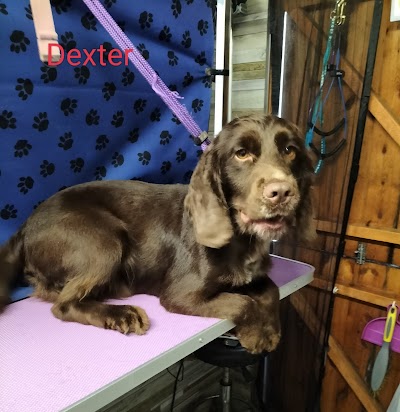 Grooming Van Image