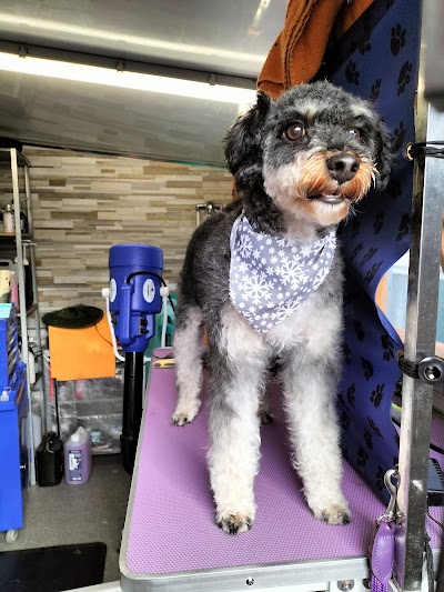 Grooming Van Image