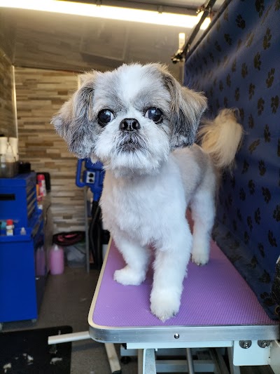 Grooming Van Image