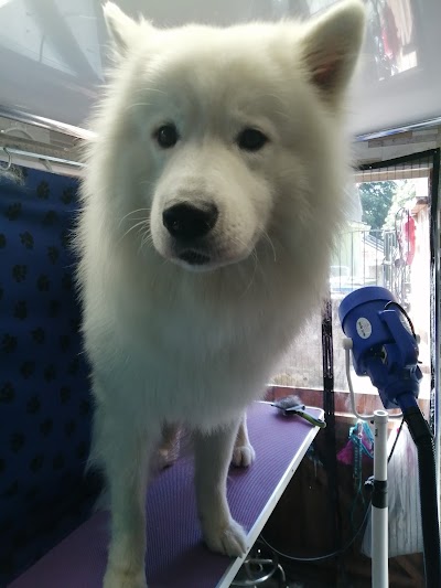 Grooming Van Image