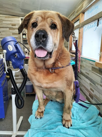 Grooming Van Image
