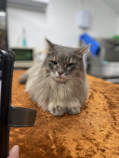 Grooming Van Image