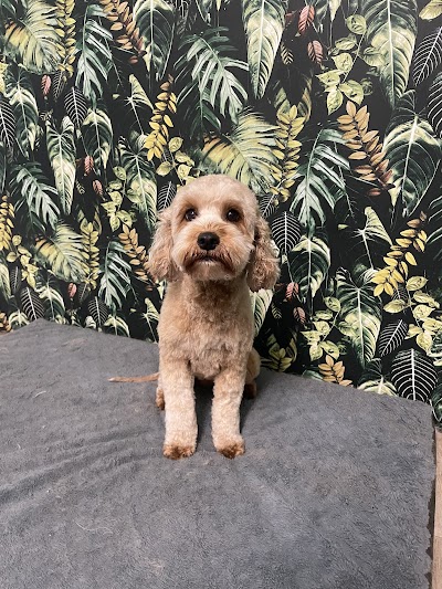 Grooming Van Image