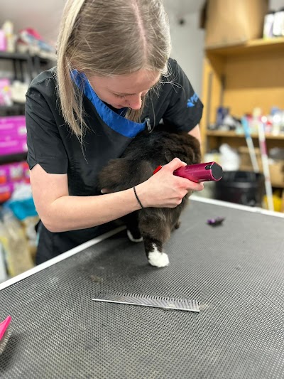 Grooming Van Image