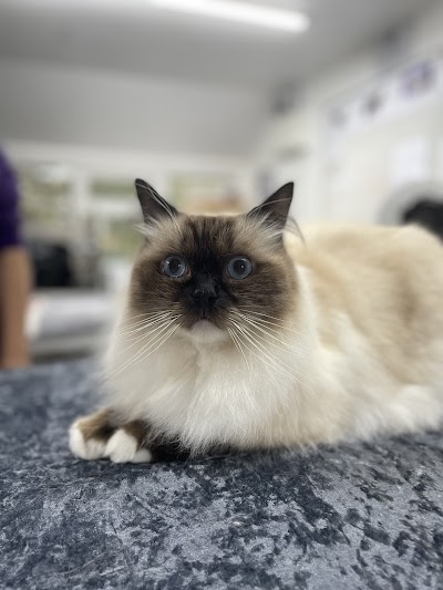 Paiges Paws - Professional Dog & Cat Grooming