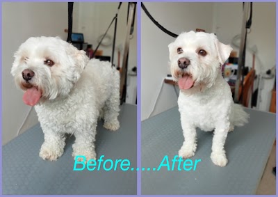 Grooming Van Image