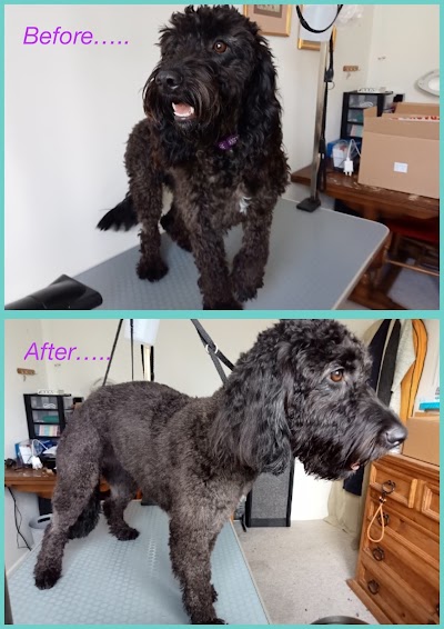 Grooming Van Image