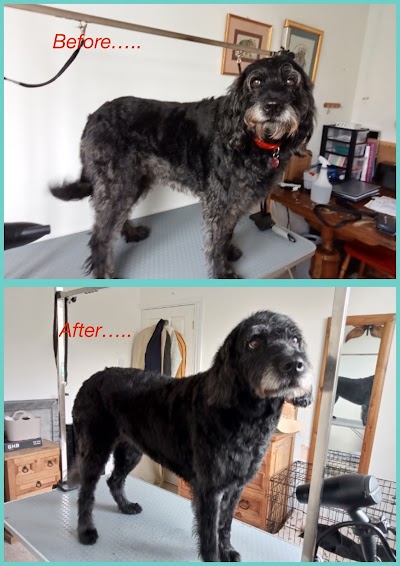 Grooming Van Image