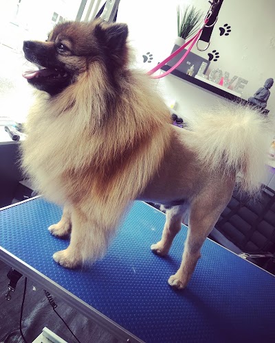 Grooming Van Image