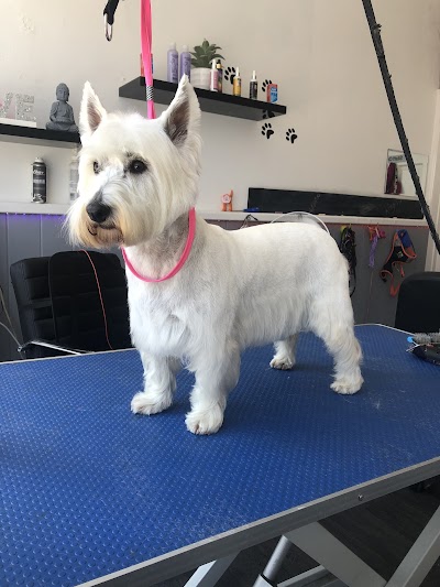 Grooming Van Image