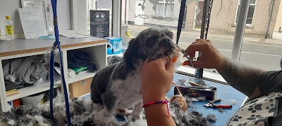 Grooming Van Image
