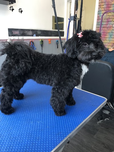 Grooming Van Image