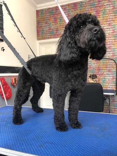 Grooming Van Image