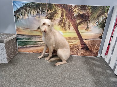 Grooming Van Image