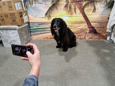 Grooming Van Image