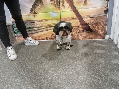 Grooming Van Image