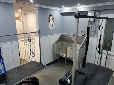 Grooming Van Image