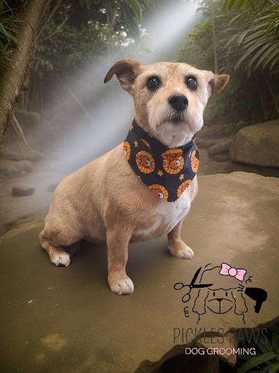 Grooming Van Image