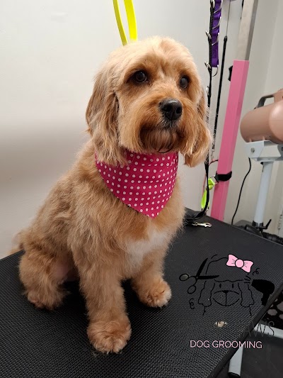 Grooming Van Image