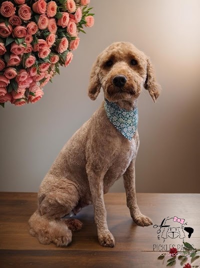 Grooming Van Image