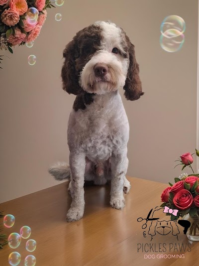Grooming Van Image