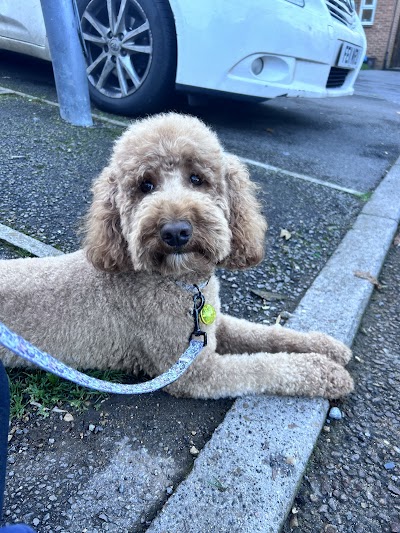 Grooming Van Image