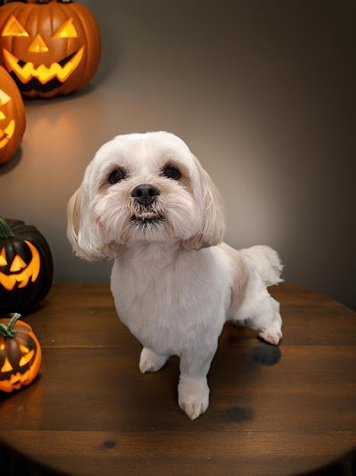 Grooming Van Image
